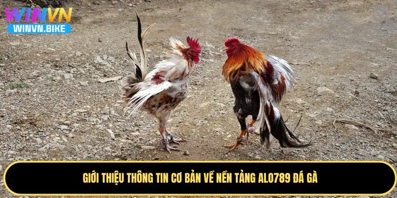Alo789 Đá Gà - Nhà Cái Online Đáng Trải Nghiệm Tại WINVN 1 Một vài thông tin cơ bản cần biết về Alo789 đá gà