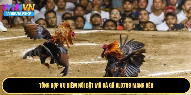 Alo789 Đá Gà - Nhà Cái Online Đáng Trải Nghiệm Tại WINVN 2 Ưu điểm nổi bật khi tham gia chơi đá gà tại Alo789
