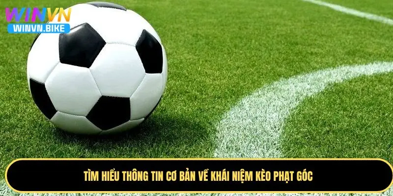 Cách Soi Kèo Phạt Góc WINVN – Bí Quyết Thắng Lớn Từ Cao Thủ 1 Giới thiệu một vài thông tin cơ bản về kèo phạt góc bóng đá