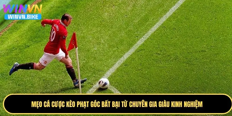Cách Soi Kèo Phạt Góc WINVN – Bí Quyết Thắng Lớn Từ Cao Thủ 4 Tổng hợp các mẹo cược phạt góc bất bại từ chuyên gia
