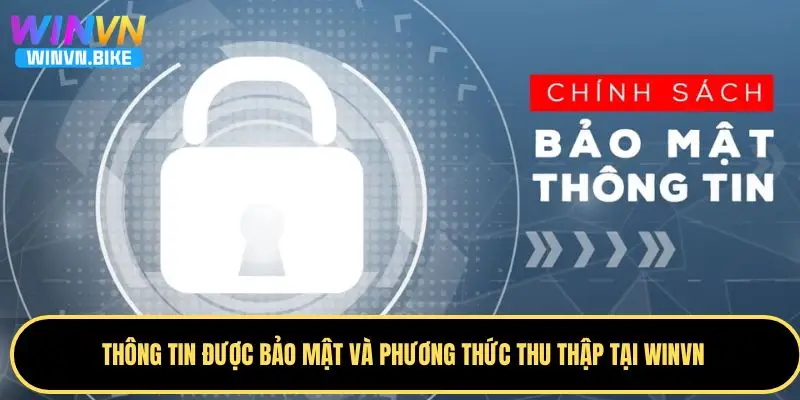 Chính Sách Bảo Mật WINVN - Bảo Vệ Thông Tin Từ A đến Z 2 Thông tin nào được thu thập và bảo mật