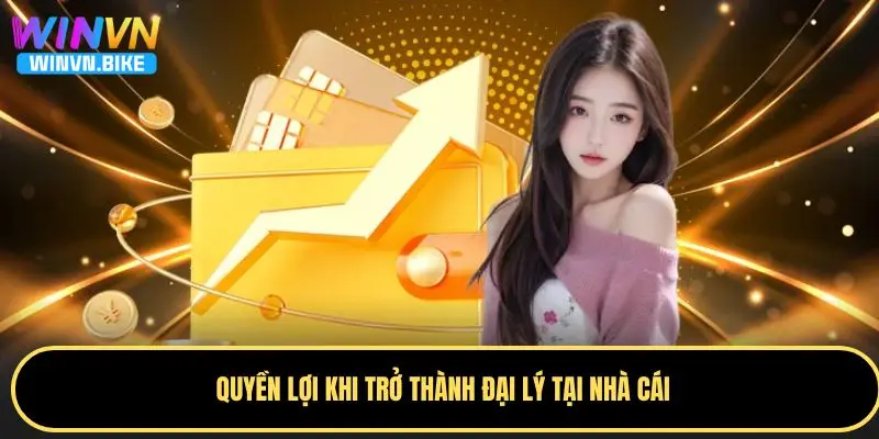 Đại Lý WINVN – Hoa Hồng Cao, Cơ Hội Kiếm Tiền Hấp Dẫn 2 Những quyền lợi nổi bật tại đại lý WINVN