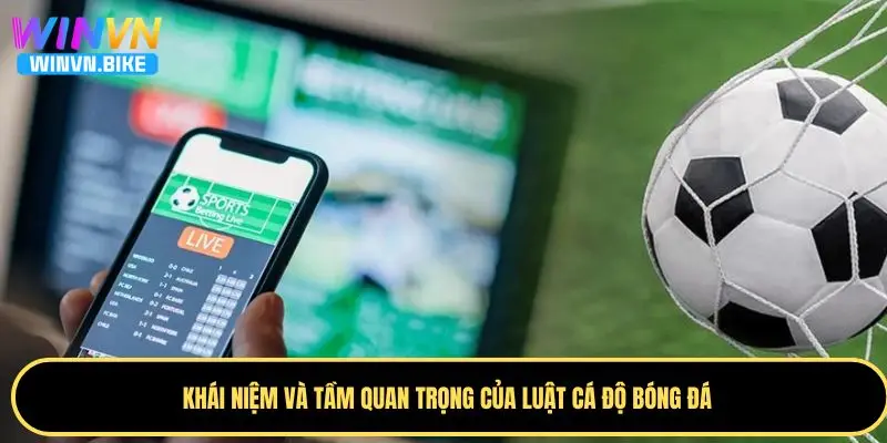 Luật Cá Độ Bóng Đá WINVN – Những Điều Cần Biết Khi Chơi 1 Tìm hiểu về khái niệm của luật cá độ bóng đá trực tuyến
