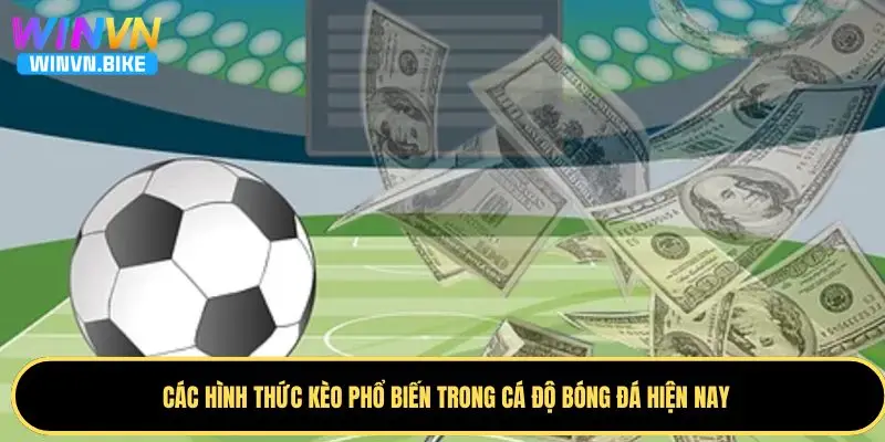 Luật Cá Độ Bóng Đá WINVN – Những Điều Cần Biết Khi Chơi 2 Các loại kèo cược phổ biến trong quy tắc cá độ bóng đá