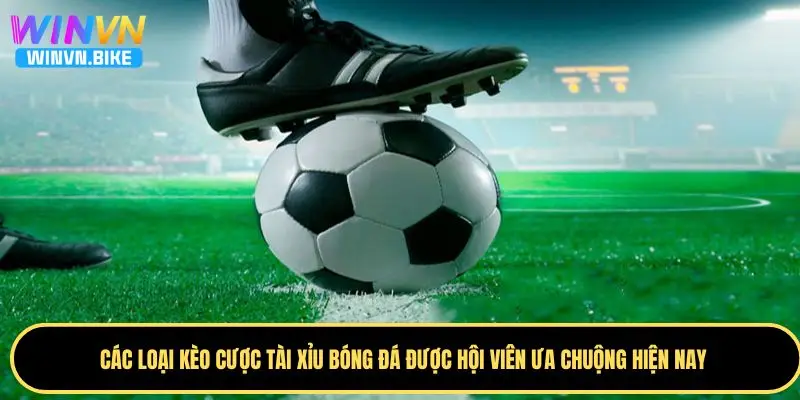 Tài Xỉu Bóng Đá Là Gì - Hướng Dẫn Cá Cược Chuẩn Tại WINVN 2 Các loại kèo cược tài xỉu trong bóng đá phổ biến hiện nay