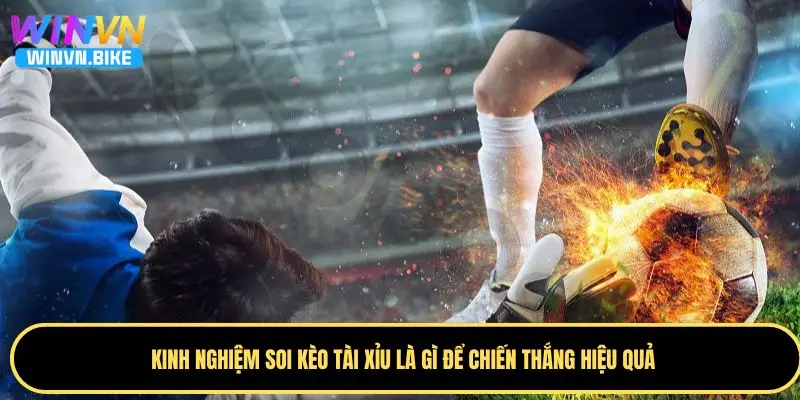 Tài Xỉu Bóng Đá Là Gì - Hướng Dẫn Cá Cược Chuẩn Tại WINVN 3 Kinh nghiệm soi kèo tài xỉu bóng đá WINVN từ chuyên gia