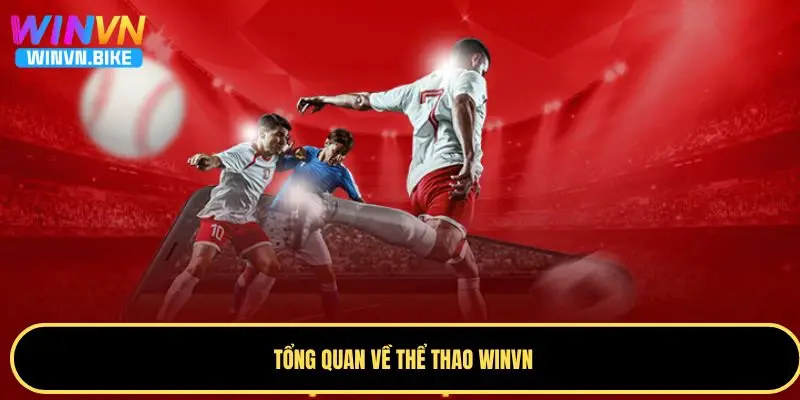 Thể Thao WINVN - Thiên Đường Cá Cược Hàng Đầu Châu Á 1 Tìm hiểu về thể thao WINVN