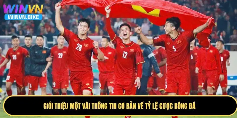 Tỷ Lệ Cược Bóng Đá WINVN – Cách Đọc Kèo Chuẩn Xác Nhất 1 Giới thiệu khái niệm cơ bản về tỷ lệ cược bóng đá