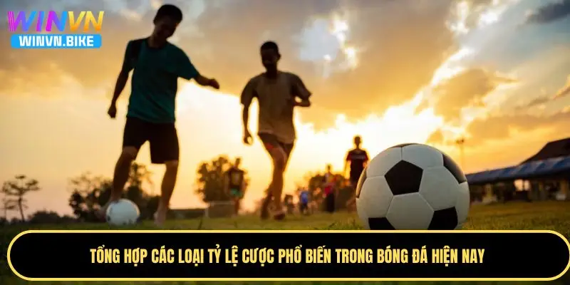 Tỷ Lệ Cược Bóng Đá WINVN – Cách Đọc Kèo Chuẩn Xác Nhất 2 Tỷ lệ cược Mỹ được nhiều hội viên ưa chuộng