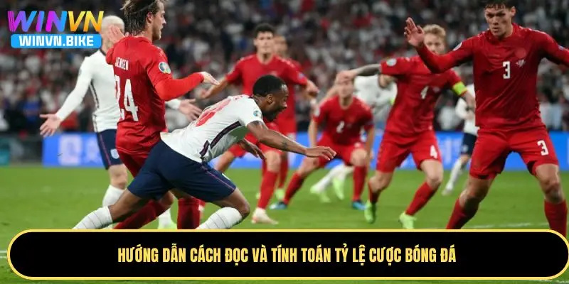 Tỷ Lệ Cược Bóng Đá WINVN – Cách Đọc Kèo Chuẩn Xác Nhất 3 Hướng dẫn cách phân tích tỷ lệ cược cho tân binh