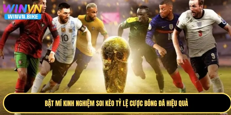 Tỷ Lệ Cược Bóng Đá WINVN – Cách Đọc Kèo Chuẩn Xác Nhất 4 Kinh nghiệm soi tỷ lệ cược hiệu quả trong bóng đá