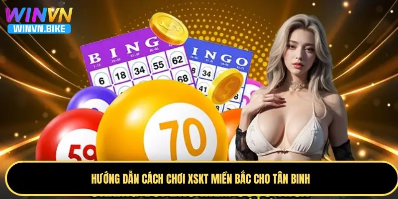 Xổ Số Kiến Thiết Miền Bắc WINVN – Cách Chơi Và Mẹo Trúng Lớn 2 Hướng dẫn cách chơi XSKT miền Bắc cho tân binh